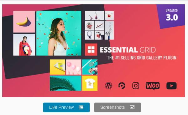 Essential Grid Gallery WordPress Plugin